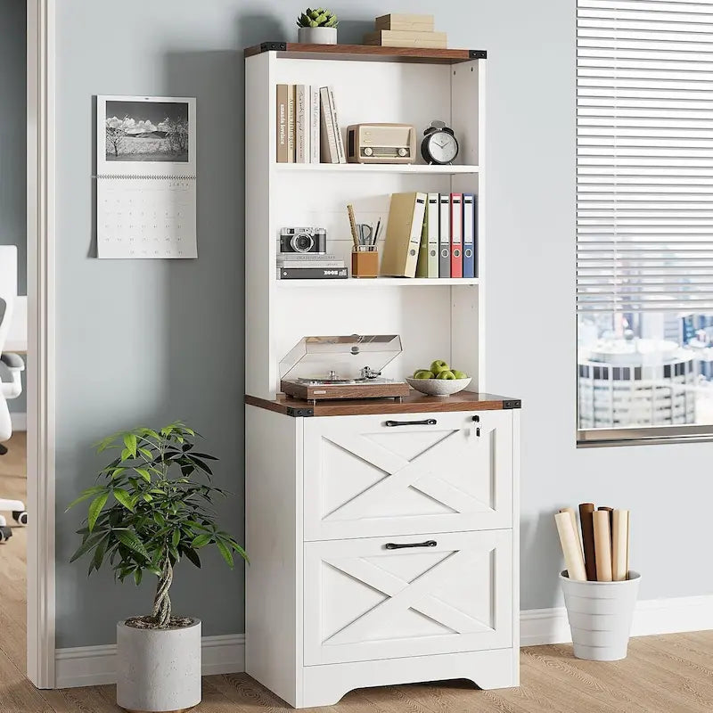 2 Drawer File Cabinet with Lock Hanging File Folders Home Office