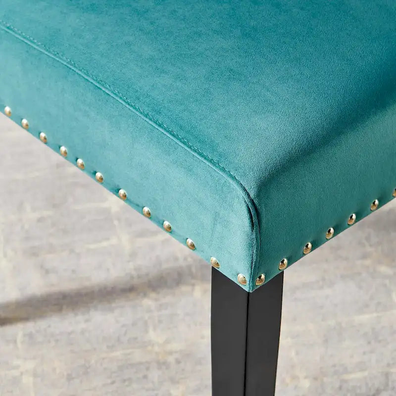 Velvet Nailhead Trim Dining Side Chairs (Set of 2)