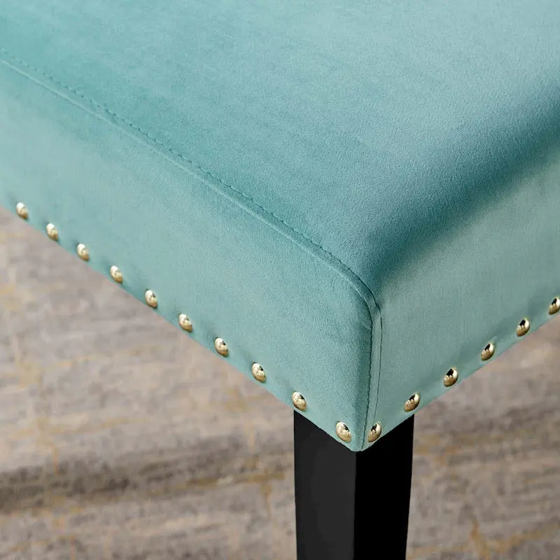 Velvet Nailhead Trim Dining Side Chairs (Set of 2)